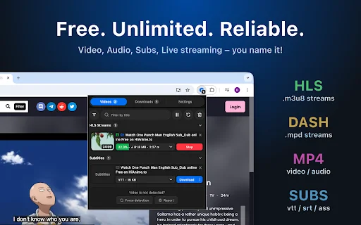 MAX Video Downloader – HLS, DASH, MP4 वीडियो मुफ्त में डाउनलोड करें - Screenshot 1