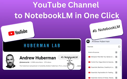 YouTube to NotebookLM डाउनलोड करें – वीडियो को AI नोट्स में बदलें - Screenshot 2