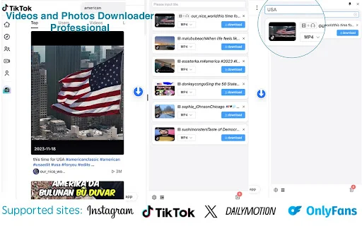DataTool Video Downloader डाउनलोड करें – TikTok और सोशल मीडिया वीडियो - Screenshot 3