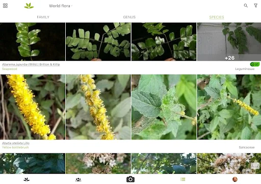 PlantNet Plant Identification डाउनलोड करें – पौधों की सटीक पहचान - Screenshot 11