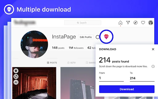 Instagram Downloader – ToolMaster | फोटो और वीडियो डाउनलोड करें - Screenshot 2