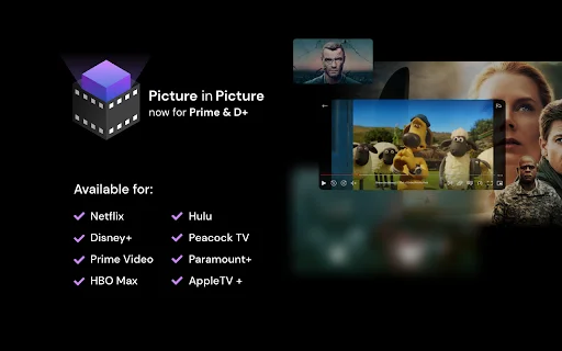 Netflix Picture in Picture [QVI] – वीडियो को PiP मोड में देखें - Screenshot 1