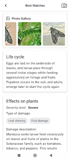 Plant Disease ऐप डाउनलोड करें – पौधों की बीमारी पहचानें - Screenshot 9