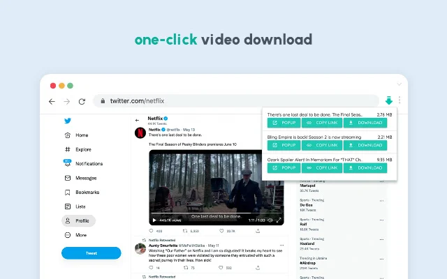 Video Downloader for Web डाउनलोड करें – सभी वीडियो सुरक्षित करें - Screenshot 2