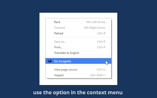 Go Incognito डाउनलोड करें – ब्राउज़िंग हिस्ट्री सुरक्षित रखें - Screenshot 4
