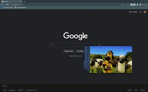 Netflix Picture in Picture [QVI] – वीडियो को PiP मोड में देखें - Screenshot 2