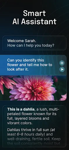 AI Chatbot – Nova डाउनलोड करें: नवीनतम AI मॉडल के साथ स्मार्ट चैट - Screenshot 2