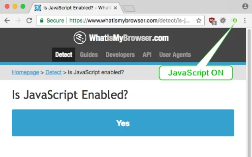 Disable JavaScript डाउनलोड करें – अपनी ब्राउज़िंग को सुरक्षित बनाएं - Screenshot 2