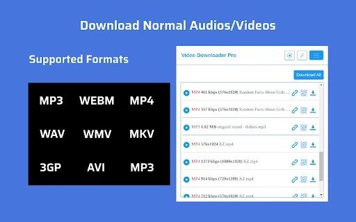 Video Downloader Pro डाउनलोड करें – सभी वीडियो के लिए बेस्ट टूल - Screenshot 2
