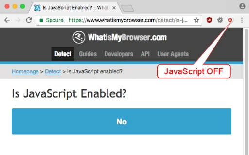 Disable JavaScript डाउनलोड करें – अपनी ब्राउज़िंग को सुरक्षित बनाएं - Screenshot 3