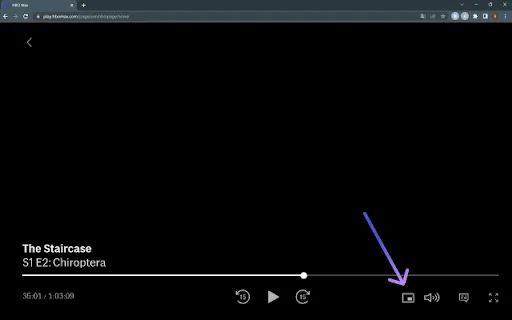 Netflix Picture in Picture [QVI] – वीडियो को PiP मोड में देखें - Screenshot 3