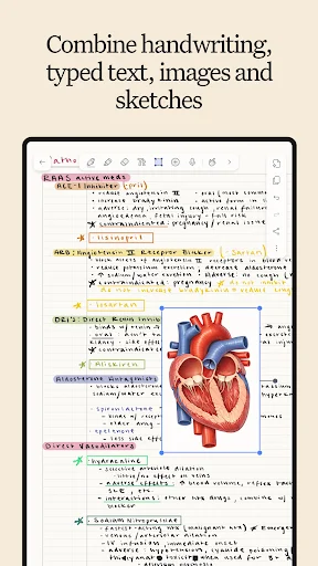 Notability ऐप डाउनलोड करें – बेहतरीन नोट्स और PDF एडिटिंग टूल - Screenshot 6